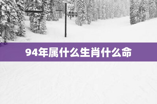 94年属什么生肖什么命