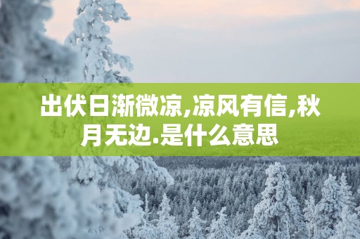出伏日渐微凉,凉风有信,秋月无边.是什么意思