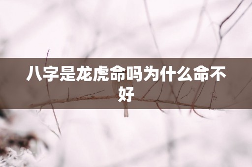 八字是龙虎命吗为什么命不好