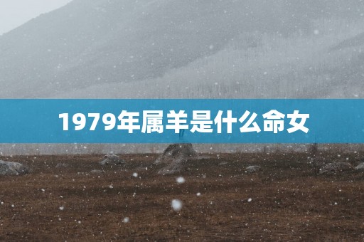 1979年属羊是什么命女