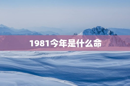 1981今年是什么命 1981今年是什么命