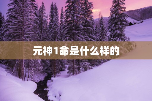 元神1命是什么样的