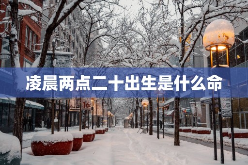 凌晨两点二十出生是什么命
