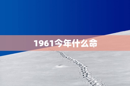 1961今年什么命