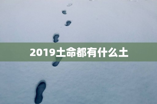 2019土命都有什么土