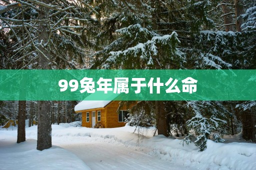 99蛇年属于什么命