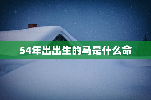 54年出出生的马是什么命