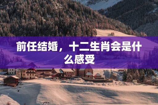 前任结婚，十二生肖会是什么感受