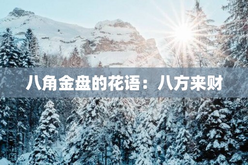 八角金盘的花语：八方来财