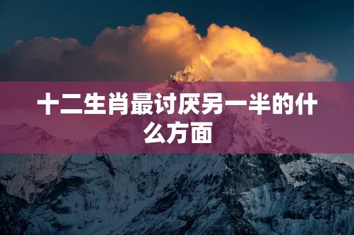 十二生肖最讨厌另一半的什么方面