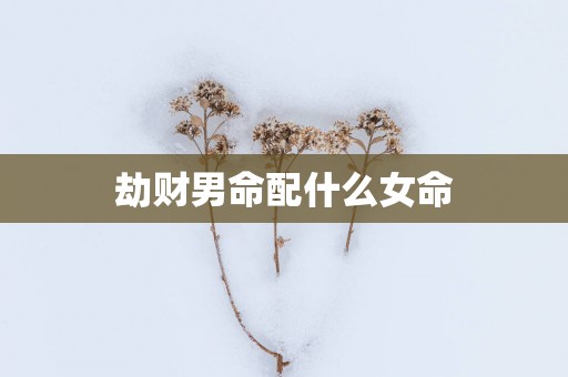 劫财男命配什么女命