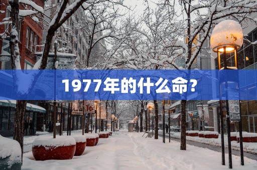 1977年的什么命？