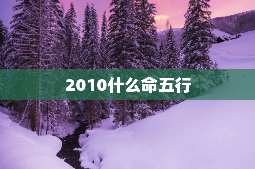 2010什么命五行