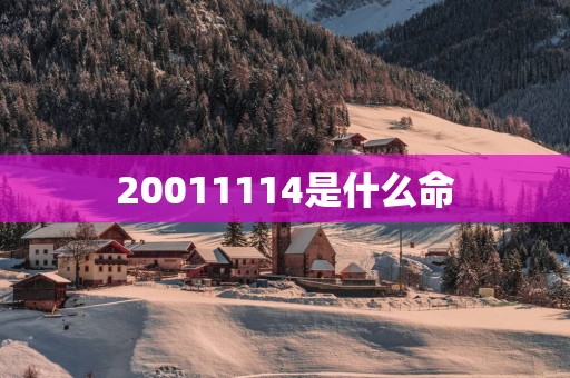 20011114是什么命