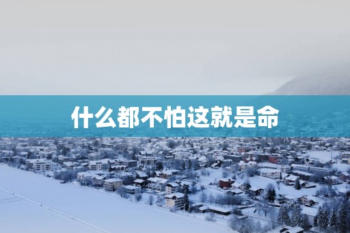 什么都不怕这就是命