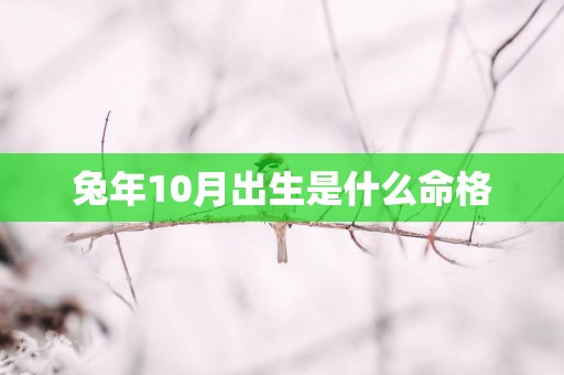 蛇年10月出生是什么命格