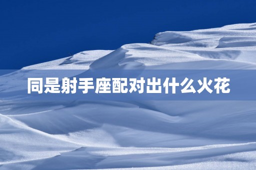 同是射手座配对出什么火花