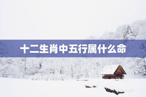 十二生肖中五行属什么命
