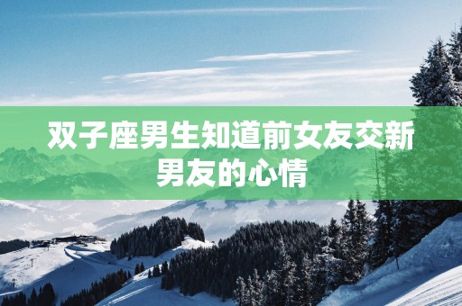 双子座男生知道前女友交新男友的心情