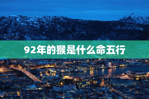 92年的猴是什么命五行