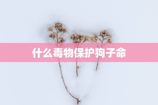 什么毒物保护狗子命