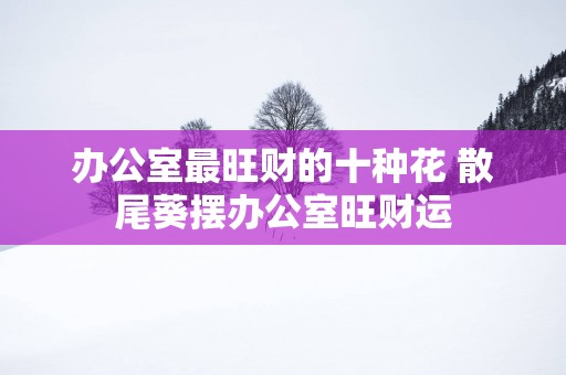 办公室最旺财的十种花 散尾葵摆办公室旺财运