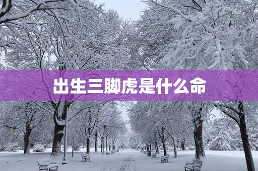 出生三脚虎是什么命