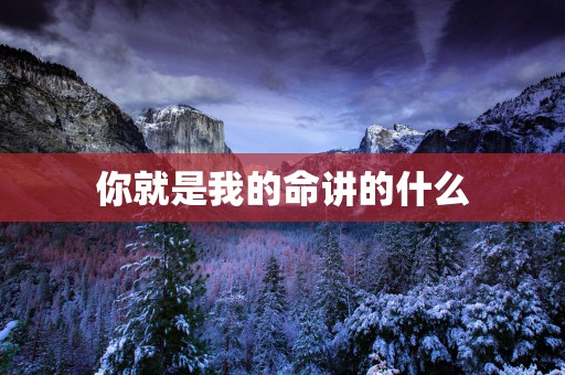 你就是我的命讲的什么