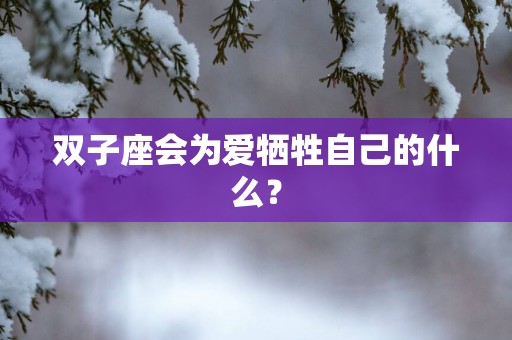 双子座会为爱牺牲自己的什么？
