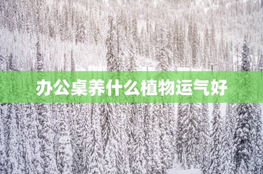 办公桌养什么植物运气好