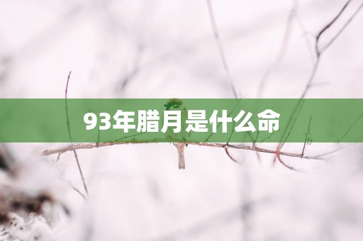 93年腊月是什么命