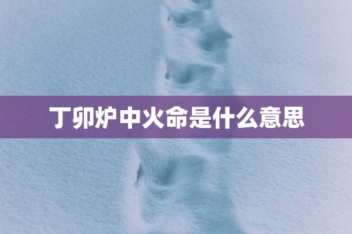 丁卯炉中火命是什么意思