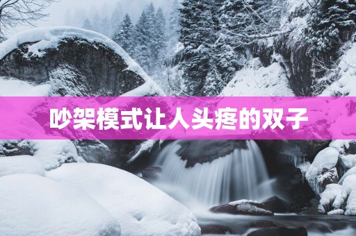 吵架模式让人头疼的双子