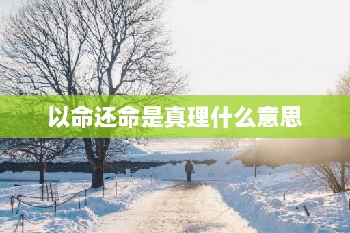 以命还命是真理什么意思