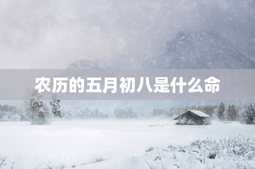 农历的五月初八是什么命
