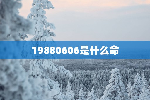 19880606是什么命