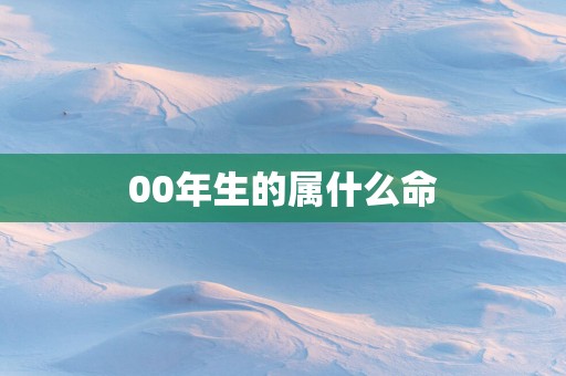 00年生的属什么命