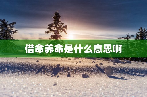 借命养命是什么意思啊