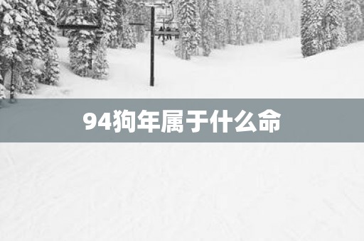 94狗年属于什么命