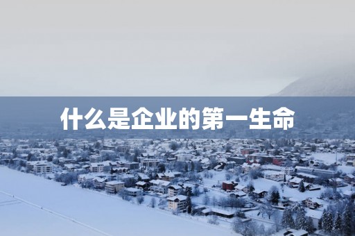 什么是企业的第一生命