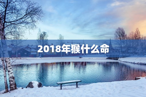2018年猴什么命