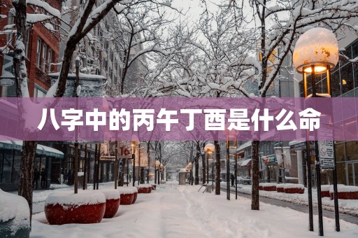 八字中的丙午丁酉是什么命