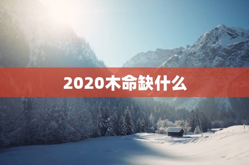 2025木命缺什么