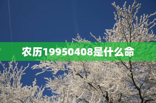 农历19950408是什么命