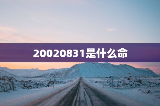 20020831是什么命