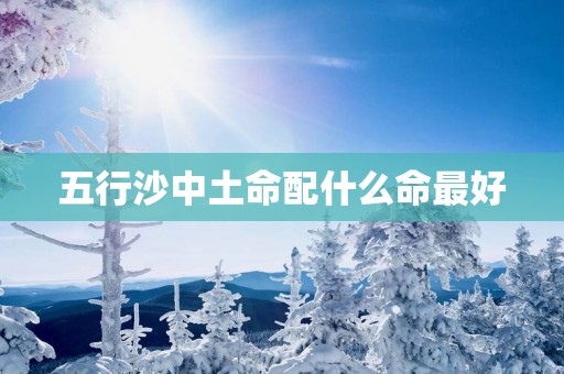 五行沙中土命配什么命最好