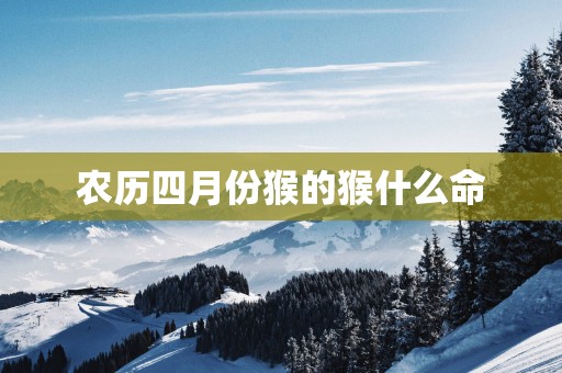 农历四月份猴的猴什么命
