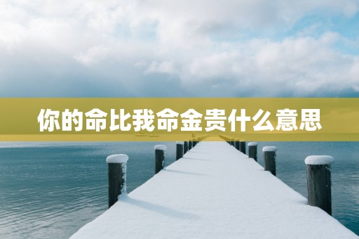 你的命比我命金贵什么意思
