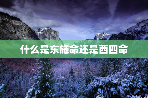 什么是东施命还是西四命