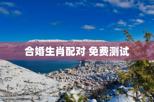 合婚生肖配对 免费测试